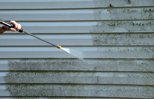 Best Roof Pressure Washing  in Flora, MS