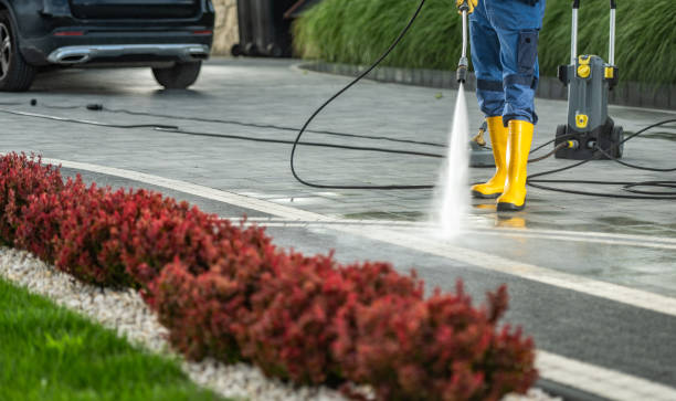 Best Exterior Home Cleaning  in Flora, MS